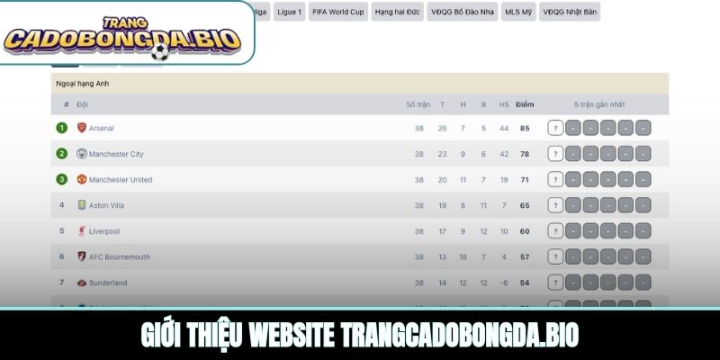 Giới thiệu website eryctaylor.com