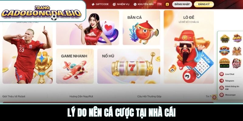 Lý do nên cá cược tại nhà cái